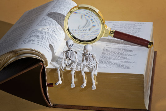 Skeletons, magnifying glass and a book