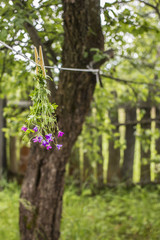 beautiful bouquet of of wildflowers suspended using clothespins on the rope in a village