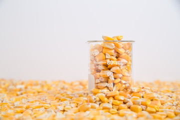 Beaker of corn kernels sitting in layer of corn