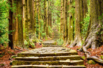 Sacred Trail in Japan