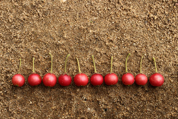 Flacourtia fruit on sand