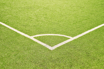 Obraz premium Stadium. Grass. Football field. Sport and fitness.