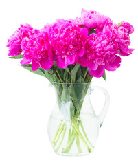 Bright pink peony flowers