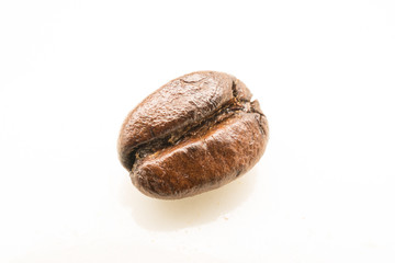 isolated macro coffee bean