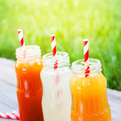 Bottles Different Fruit Color Juice Picnic Summer