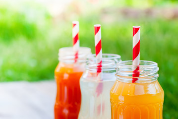 Bottles Different Fruit Color Juice Garden Party