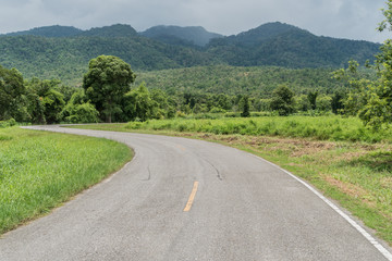 Asphalt road with yellow line