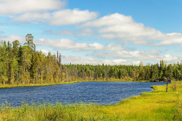 Small forest lake in Karelia