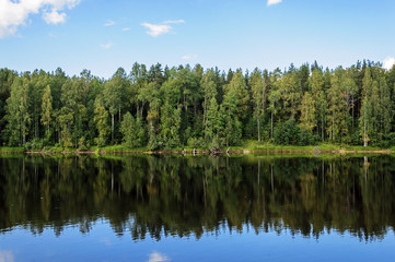 Fototapeta na wymiar Shuya River in Karelia, summer