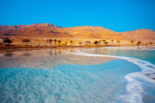 Fototapeta Dead Sea seashore with palm trees and mountains on background