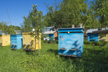 Color bee hives to stand side by side on the field