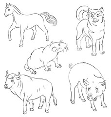 Set of animals: bull, dog, horse, rat and pig