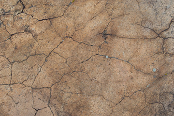 natural stone granite