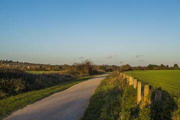 Obraz premium farmland track