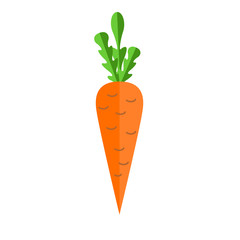 Fresh carrot vector flat illustration. Carrot for vitamin salad.