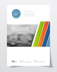 Business Brochure design. Annual report vector illustration temp