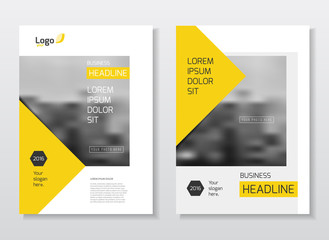 Abstract business Brochure design vector template in A4 size. Do