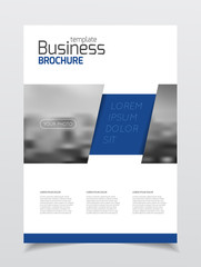Business Brochure design. Annual report vector illustration temp