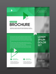 Business Brochure design. Annual report vector illustration temp