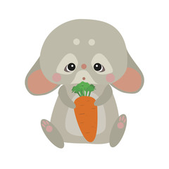 Cute rabbir with a carrot
