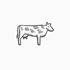 Cow sketch icon.
