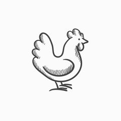 Chicken sketch icon.