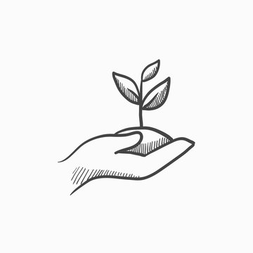 Hands holding seedling in soil sketch icon.