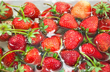red freshly Strawberry inside cold water, sweet spring strawberries closeup, on white background