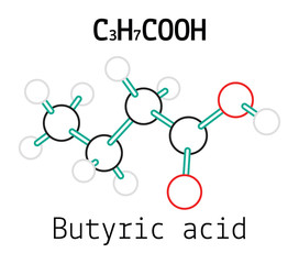 C3H7COOH Butyric acid molecule