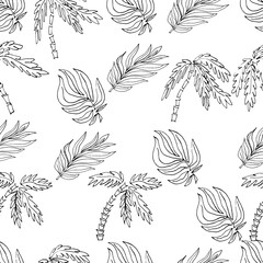 Vector seamless pattern. Hand drawn leaf of palm and palm trees.