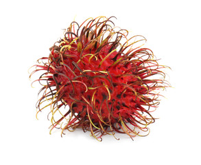 Juicy rambutan isolated on white