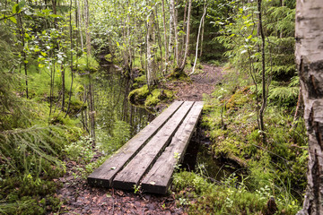 Nature trail with small board bridge leading over a ditch