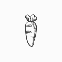 Carrot sketch icon.