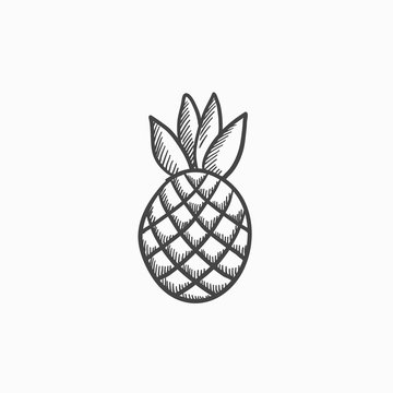 Pineapple sketch icon.
