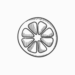 Slice of lemon sketch icon.