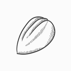 Almond sketch icon.
