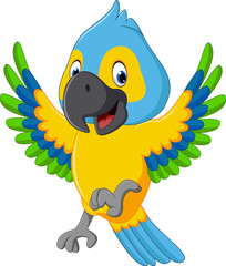 illustration of cute macaw cartoon