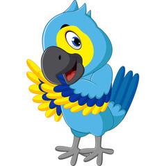 illustration of cute macaw cartoon