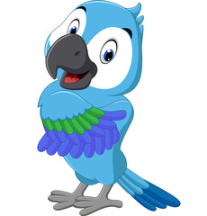 illustration of cute macaw cartoon
