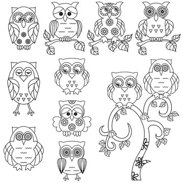 Set of various ornamental owl black outlines