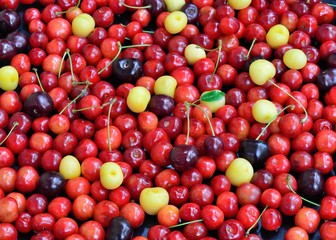 variety of cherry, background.