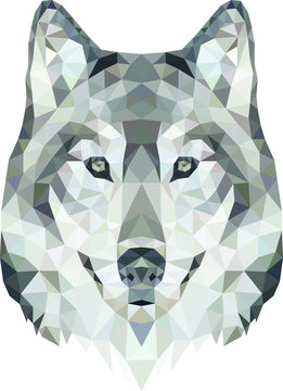 The wolf