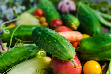 fresh vegetables on the table