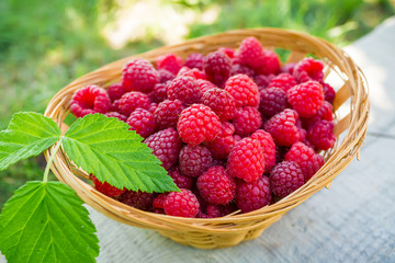 Raspberries in the basket