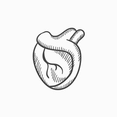 Heart sketch icon.