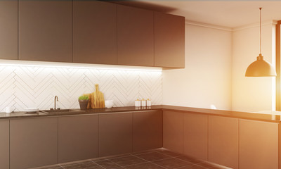 Contemporary kitchen interior