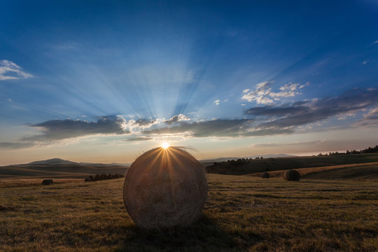 Hale bale in sunset