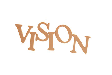 Vision