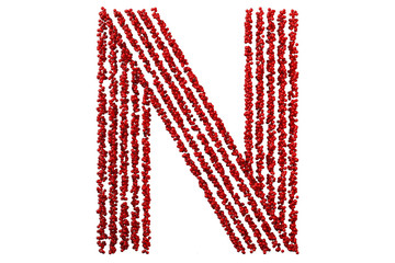 The letter N