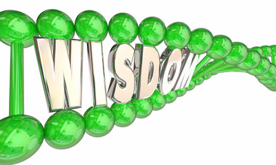 Wisdom Smarts Intelligence Hereditary DNA Word 3d Illustration